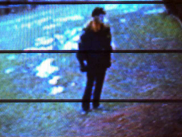Surveillance Screen