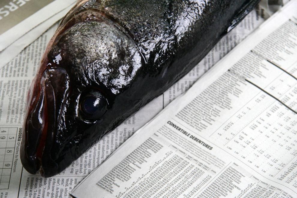 poisson