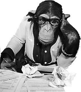 journaliste-singe