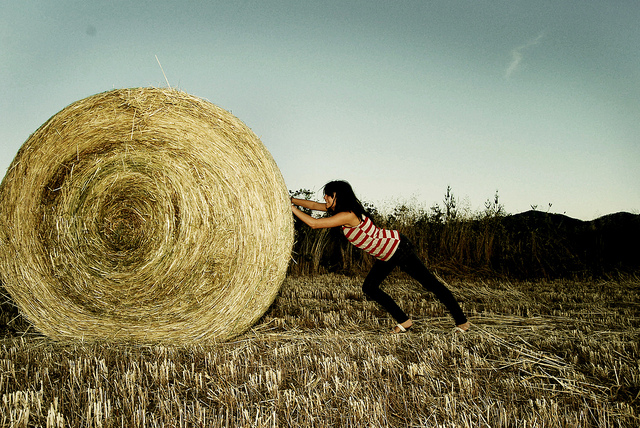 haystack