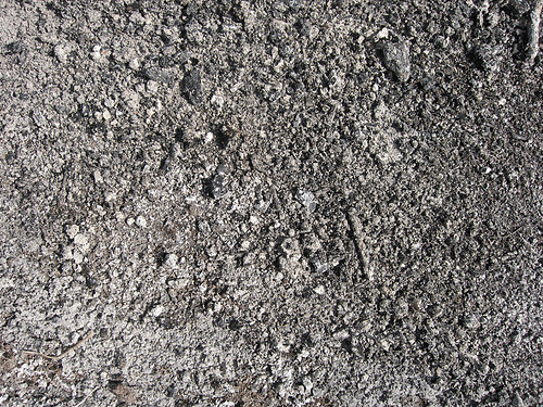 gris