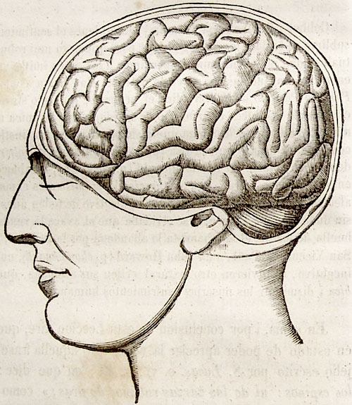 brain-ok