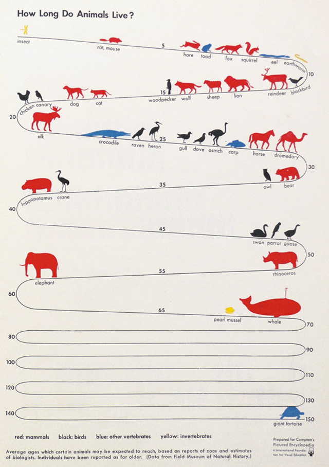 informationisbeautiful