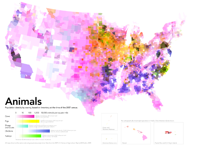 radical cartography