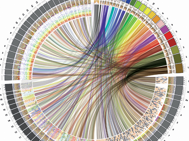 swiss infographics