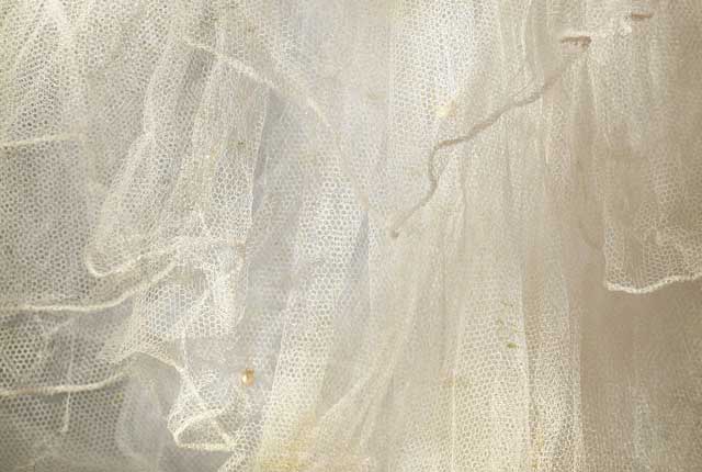 transparence